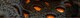 ҂݃[X@J[fBK@TCYS