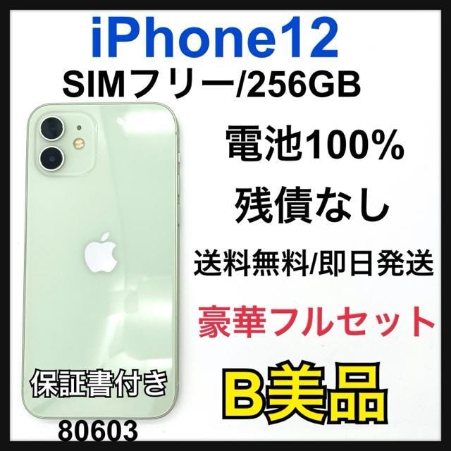 B 100% iPhone 12 256 GB SIMt[ O[@{   Ɠd/AV 