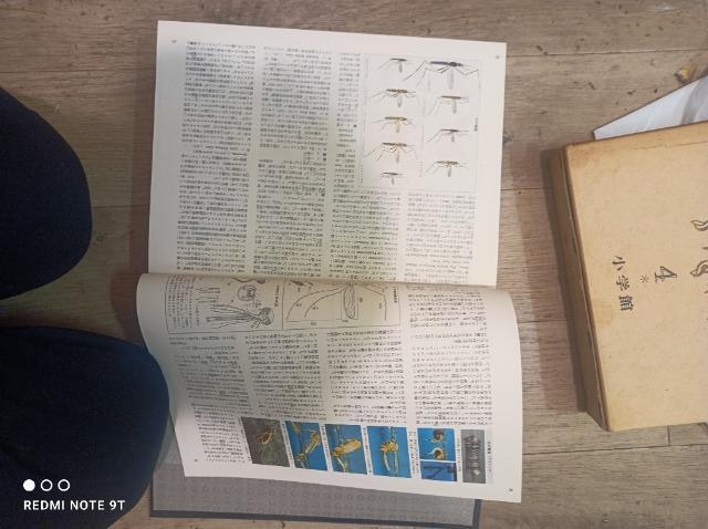 ENCYCLOPEDIA JAPONICA         {SȎT@{PWDʊ5̂̑S@w1968N  {/G 