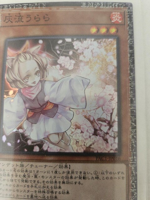 VYJ[hAubN}WVAu[ACYA  Aj/R~bN/LN^[ 