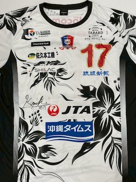 No.17 A aPI蒅p jtH[@iMTCj