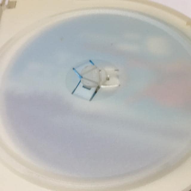 t@CfBOEj@DVD disc2Tf̂݁@{Disc1͂܂I  CD/DVD/rfI 