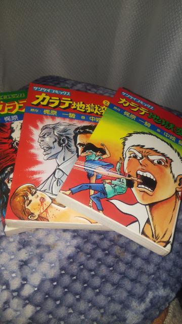 ☆カラテ地獄変☆1巻～8巻 中城健 | アニメ/コミック