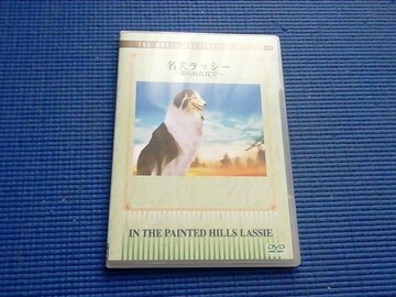 DVD bV[ ʂꂽu