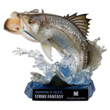 Cm STRIKE FANTASY XYL  itBMA