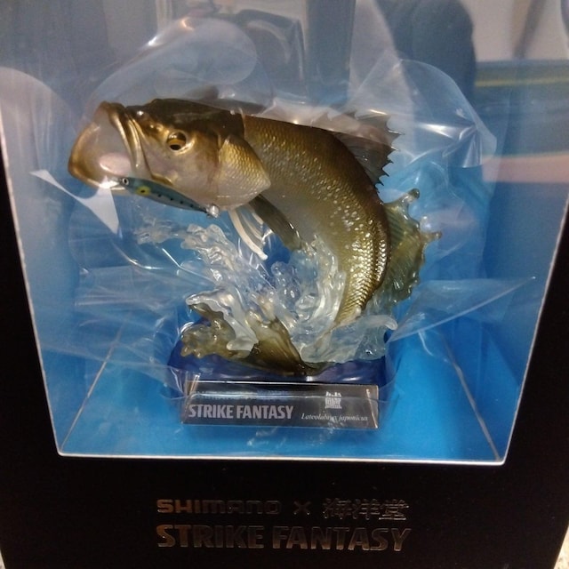 Cm STRIKE FANTASY XYL  itBMA  zr[ 