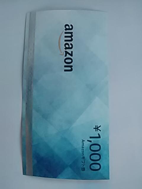 ^_AmazonMtg1000~Vi 