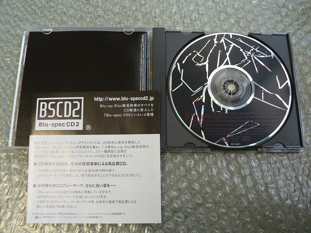 X JAPANwSinglesxVOX/BestxXg(2014N)iCD  ^gObY 