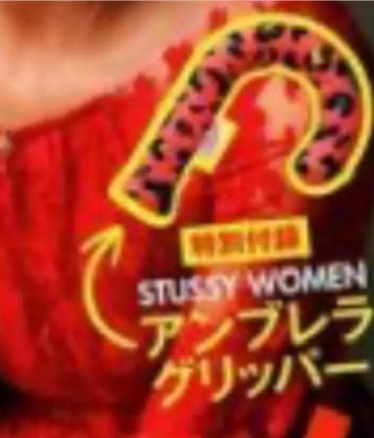 GK[Gt^STUSSY WOMEN AuObp[Xe[V[   CeA/Ct 