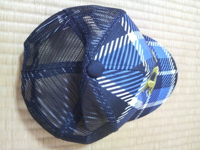 IbNXobt@[Y Lbv54cm LbYgp  W[/X|[c 