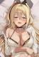 ̏_FNIKKEs[񁚂䂫́𑜓xvC}bg~NA