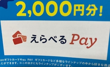 2000l/Iׂpay2000~1