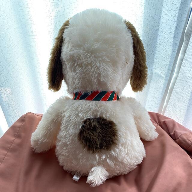 Xk[s[ʂ S55cm   