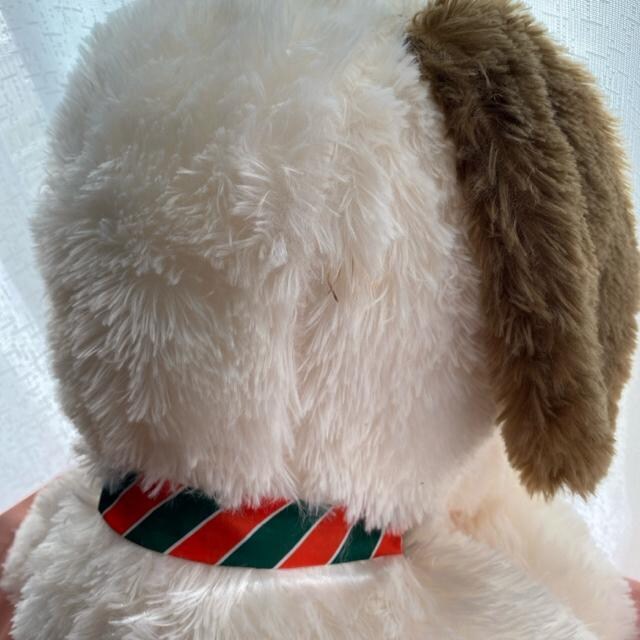 Xk[s[ʂ S55cm   
