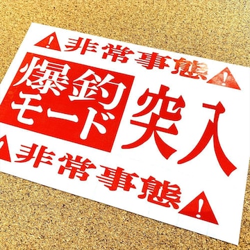 ރ[h˓JbeBOXebJ[ 20cmTCY\ ނ   A[ Cނ N[[{bNX