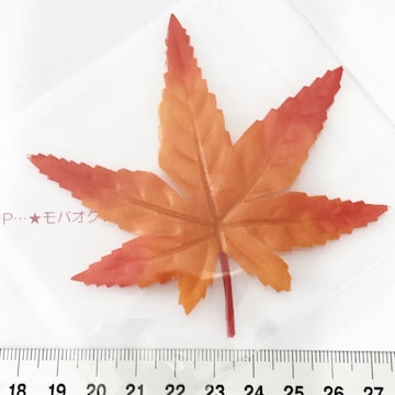 10*݂́@19