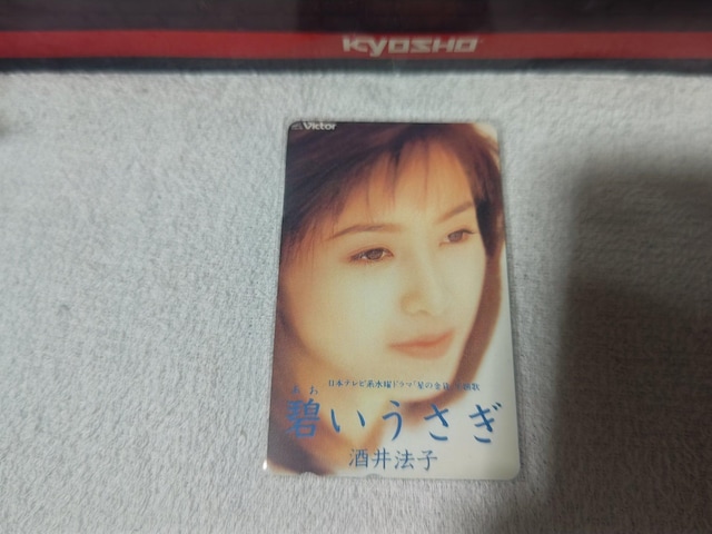 eJ 50x @q '95/5 ɂ W gp ̋    ^gObY 