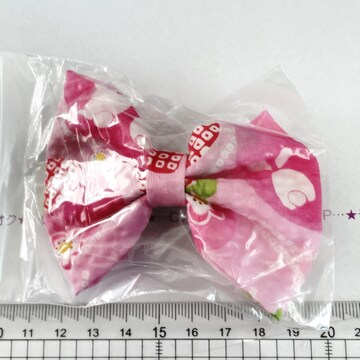 21*Ҳށ傫گ@10