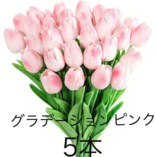 ԁ@`[bv@5{@Of[VsN   ybg/|/| 