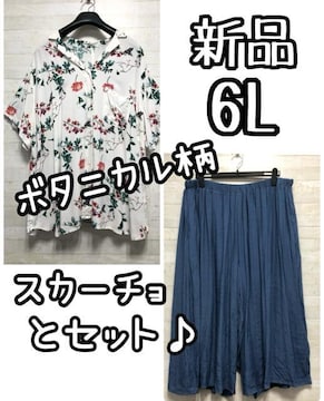 Vi5L{^jJ̑fGVcӂXJ[`G891