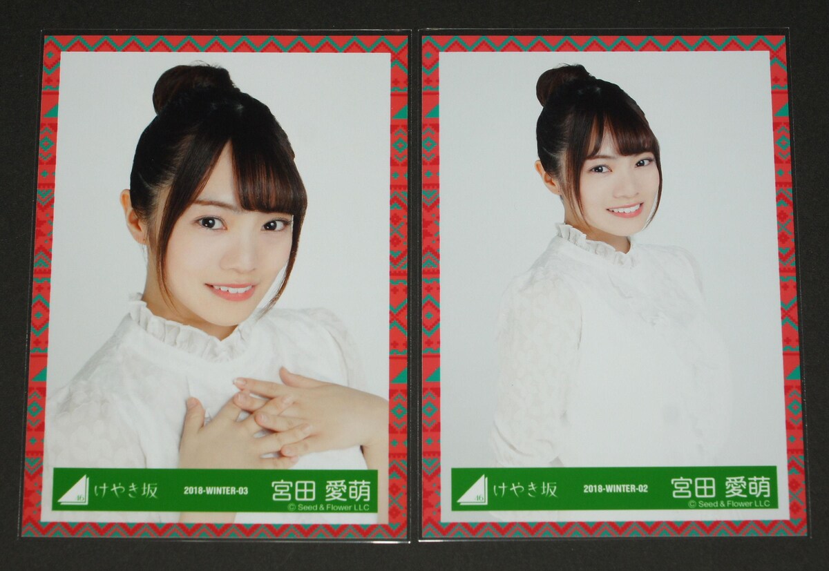 宮田愛萌 直筆 アナログポスター 日向坂46 宮田愛萌 直筆 アナログポスター 日向坂46