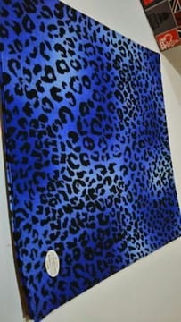 Vio_iqEBlack/Blue