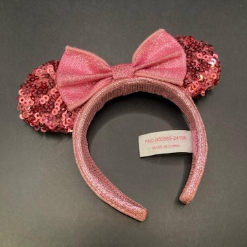  Disney fBYj[ XpR[ J`[V L[z_[
