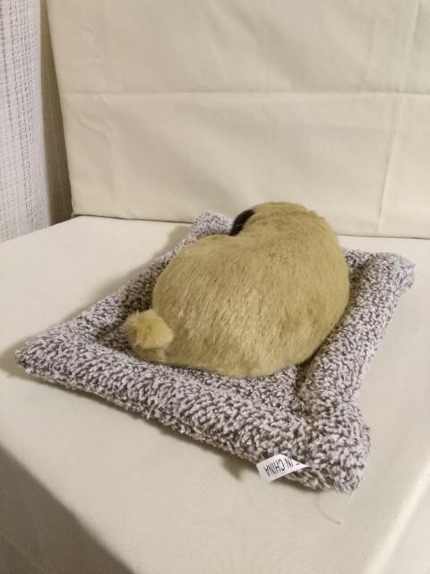 胏@pO@u