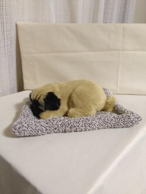 胏@pO@u