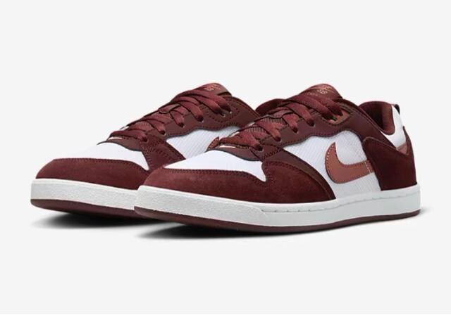 NIKE SB AE[v   W[/X|[c 
