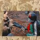 ʃC_[fXgH1999Jr[ʃC_[`bvX
