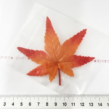 16*~Ẃ@16