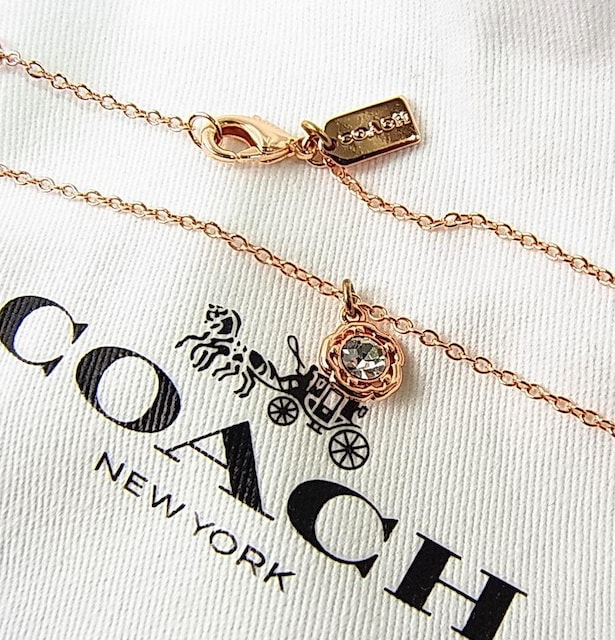 ǕiKigpR[`@COACH@n[ eB[ [Y y_g lbNX i: CT197[YS[hJ[  uh 