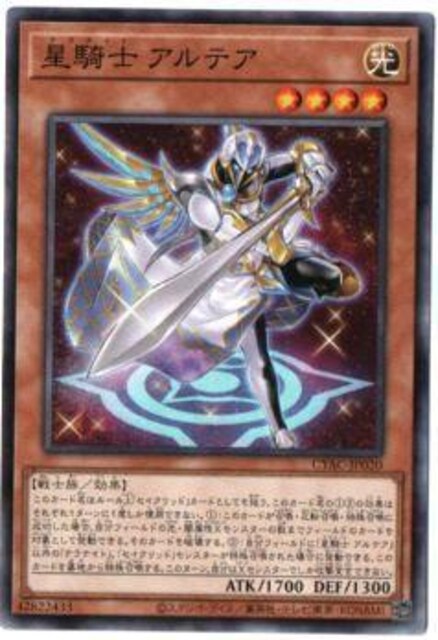 VY@fGX^[Y@CYBER STOM ACCESS@CYAC-JP020@Rm@AeA@gp   g[fBOJ[h 