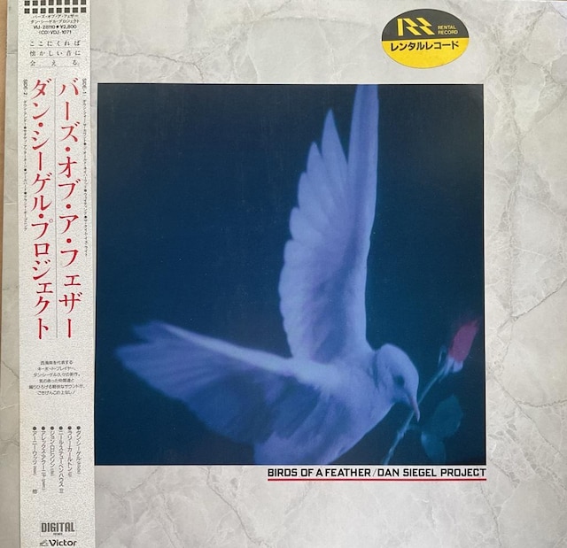 o[YEIuEAEtFU[ / _EV[QEvWFNg   CD/DVD/rfI 