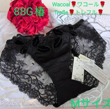 Trefle/gt/88G//m[}X^_[hV[c/BL/M/[XEΏ̌