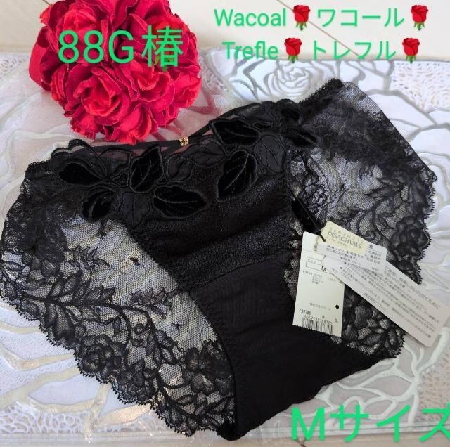 Trefle/gt/88G//m[}X^_[hV[c/BL/M/[XEΏ̌   t@bV 