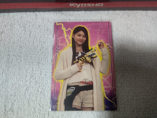 gJ 숼 '13 LEEsN   g[fBOJ[h 