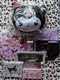 N~ TI~TN}肭10_Zbg Xg N~tFCXNbV ~jg[g |[` LfBM ܂Ƃߔ
