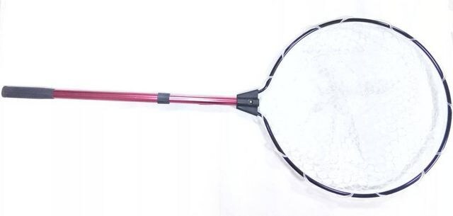 Vi@ o[fBOlbg@  o[lbg 151cm  W[/X|[c 