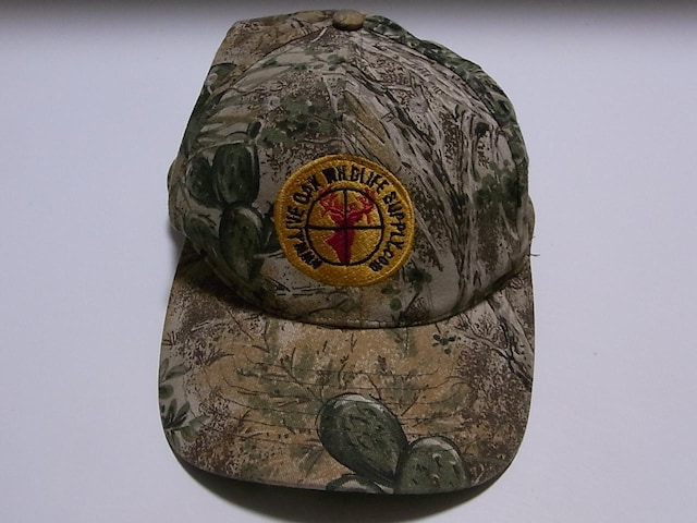 IUSAÒJtCAPLbvʁ40  jt@bV 