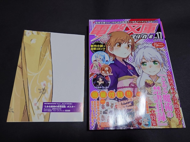 dMAGAZINE Vol.17 2011N1 / dɃ}KW t^t \uƂ閂p̋֏ژ^v   {/G 