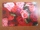 NI J[h QUO CARD 5,000~