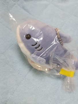T̃}XRbgʂ