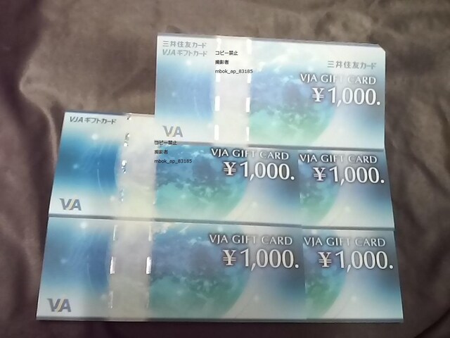1000~ VJA VJAMtgJ[h  VISA|Cg؎
