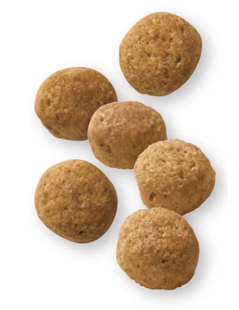 ViROYAL CANIN CJi p T|[g{CLT ^p hCt[h 1kg 1036  ybg/|/| 
