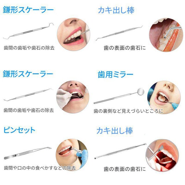 ̐| Ύ ΃v[N f^PA􎩑p XeX XP[[ f^c[ 6_Zbg P[Xt  wX/r[eB[ 