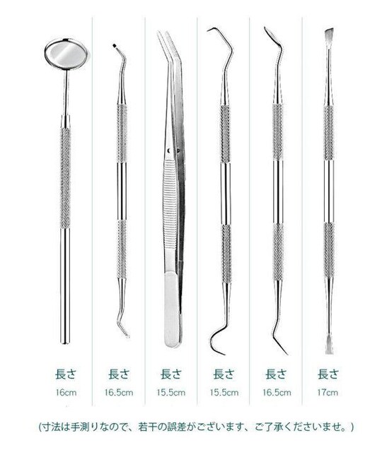 ̐| Ύ ΃v[N f^PA􎩑p XeX XP[[ f^c[ 6_Zbg P[Xt  wX/r[eB[ 