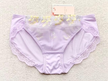 Triumph AMOSTYLE V[c kTCY sNp[v