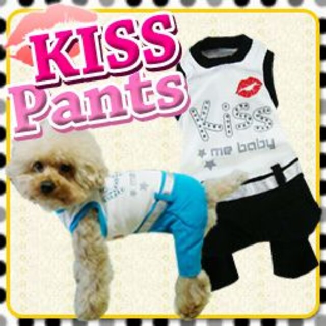 VipCnkissȂu[XS3,500~  ybg/|/| 